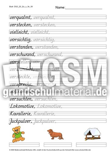 DSS_2S_Bu_v_Nr_08.pdf